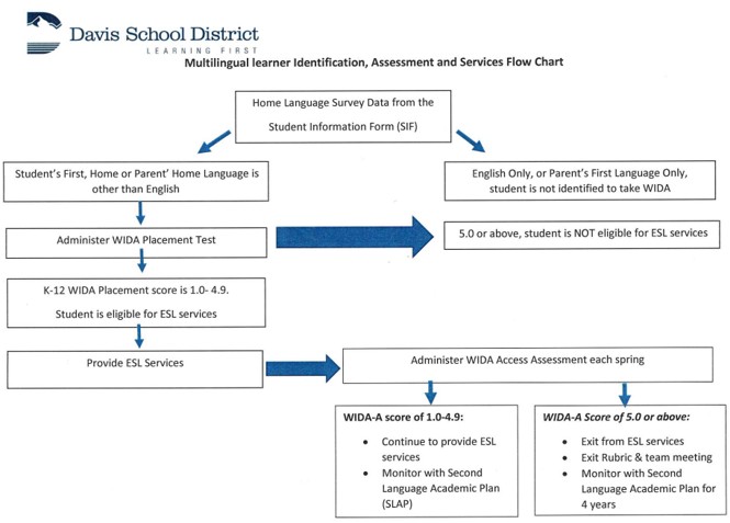 ESL Flow Chart