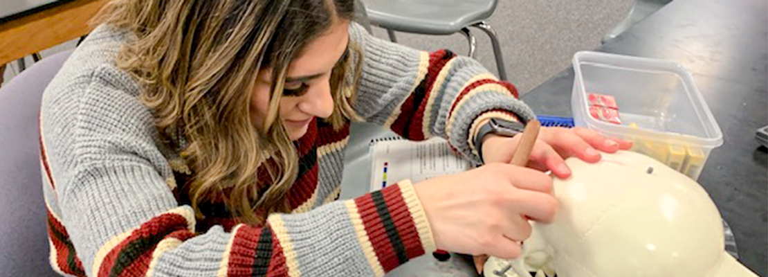 Criminal Justice/Forensics Student working on a project.