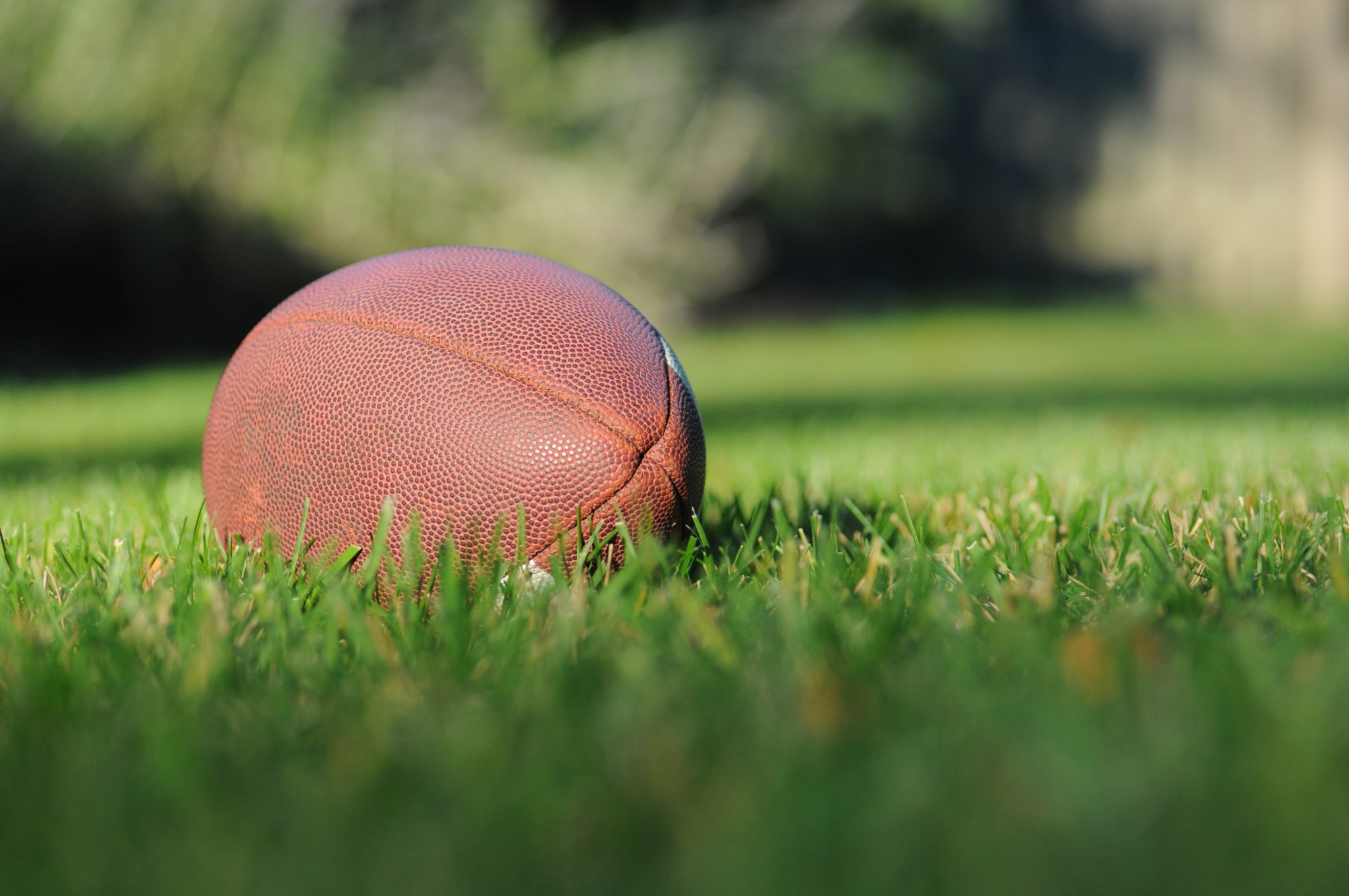 football on grass