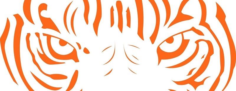 tiger face banner