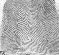 Fingerprinting image