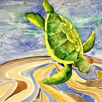 painted turtle in water with sand