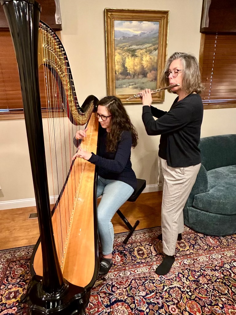Harp & Flute duet