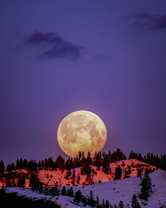 moonlight night