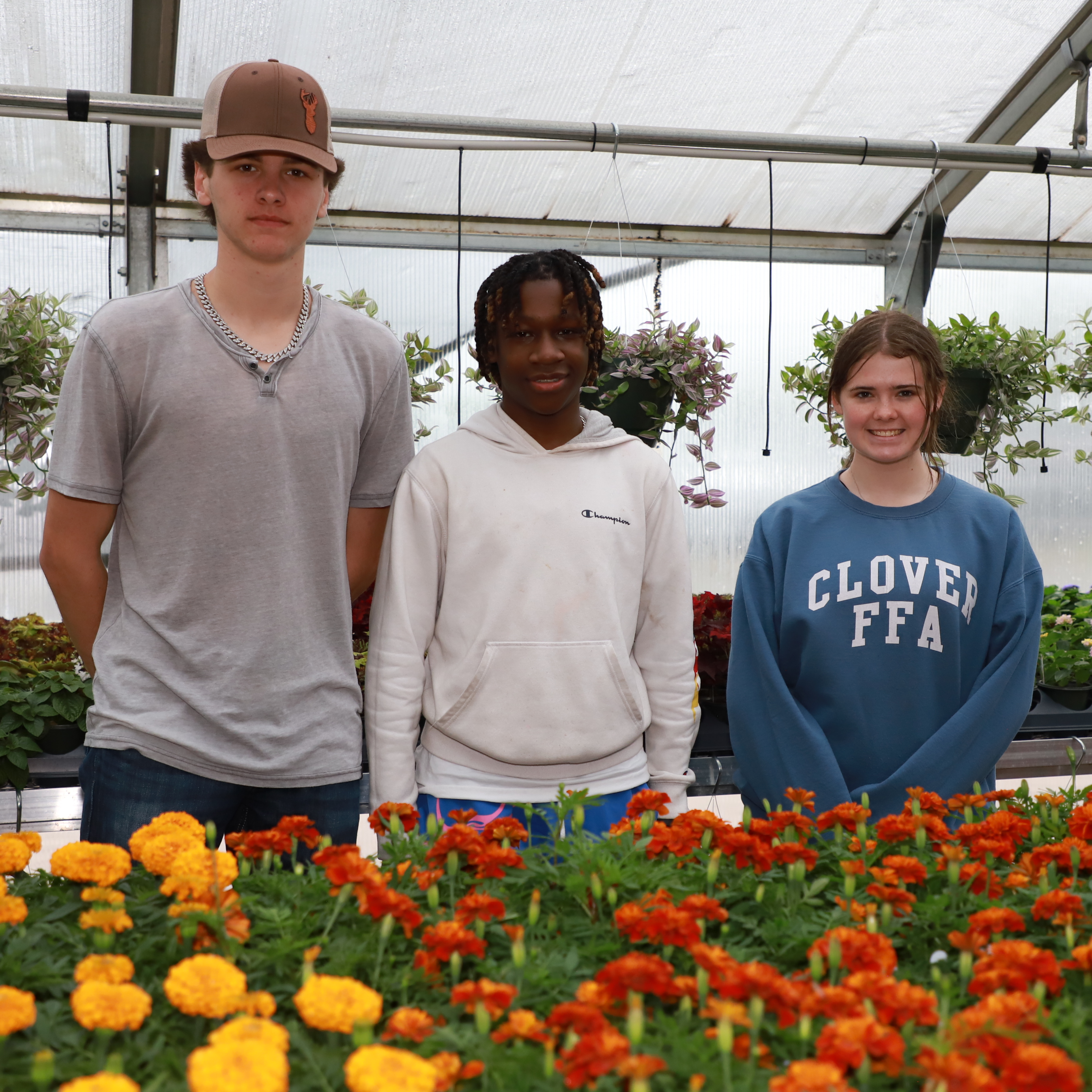 Greenhouse