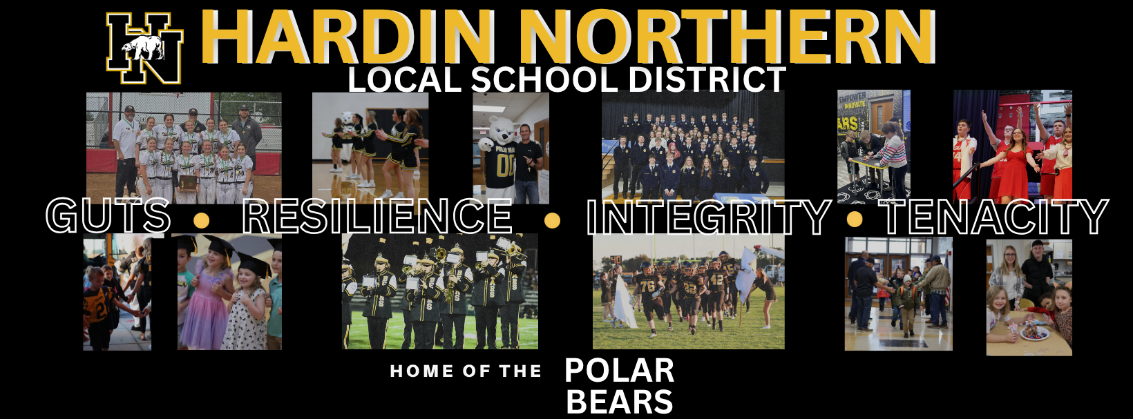 HN Polar Bears