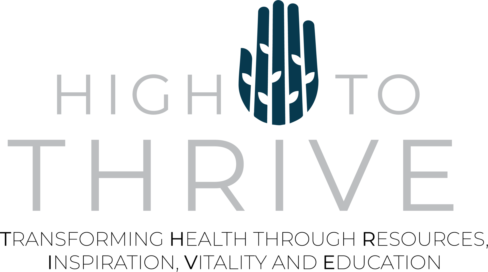 High 5 to Thrive Logo