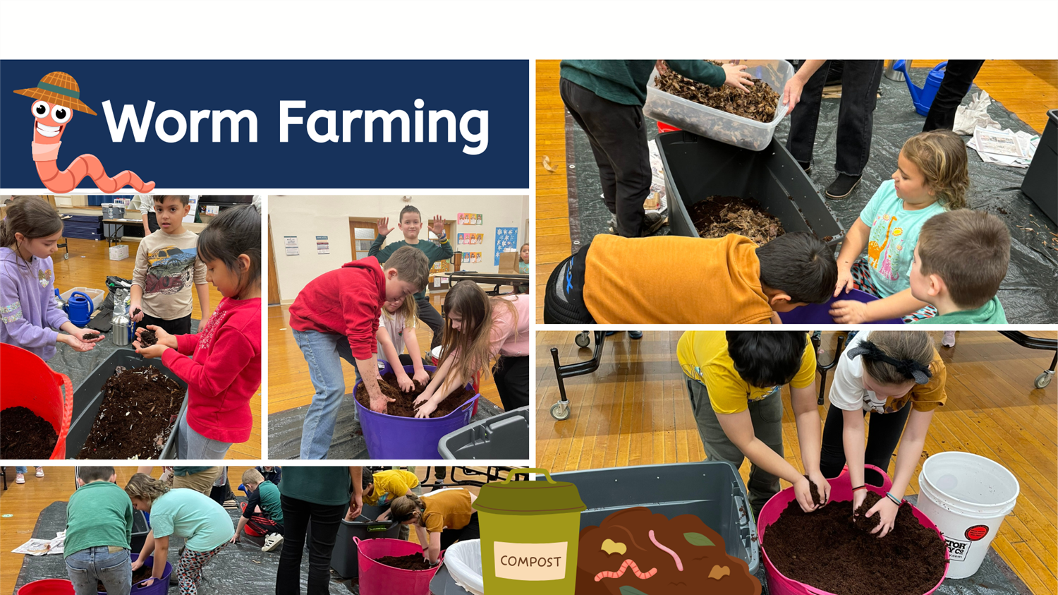 students worm farming in educational setting