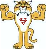 bobcat superman