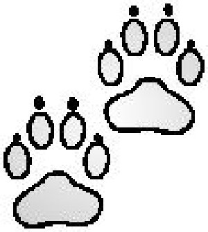 Paw prints