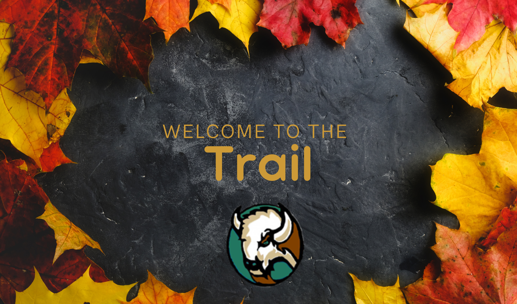 Welcome to the Trail