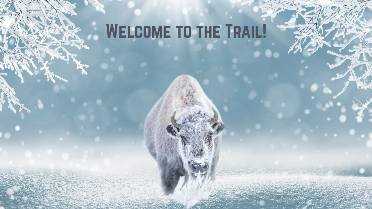 Welcome to the Trail