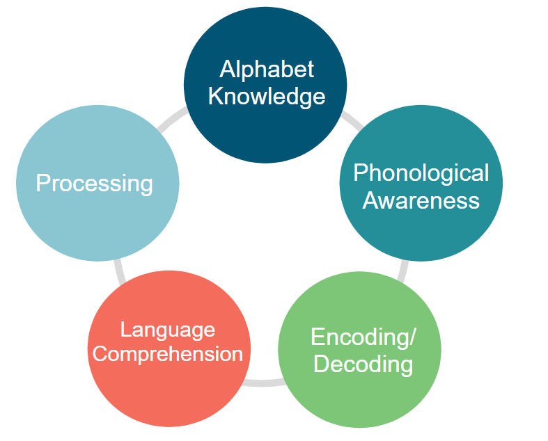 conceptual map