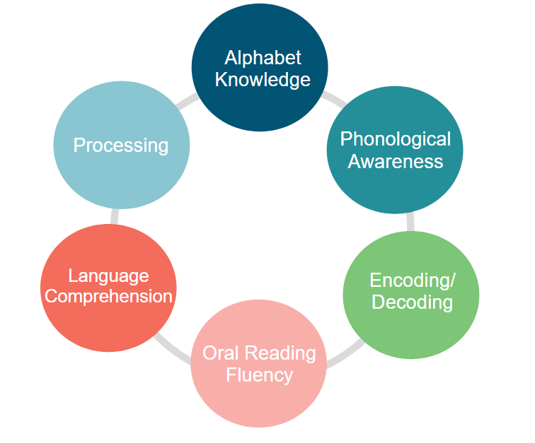 conceptual map