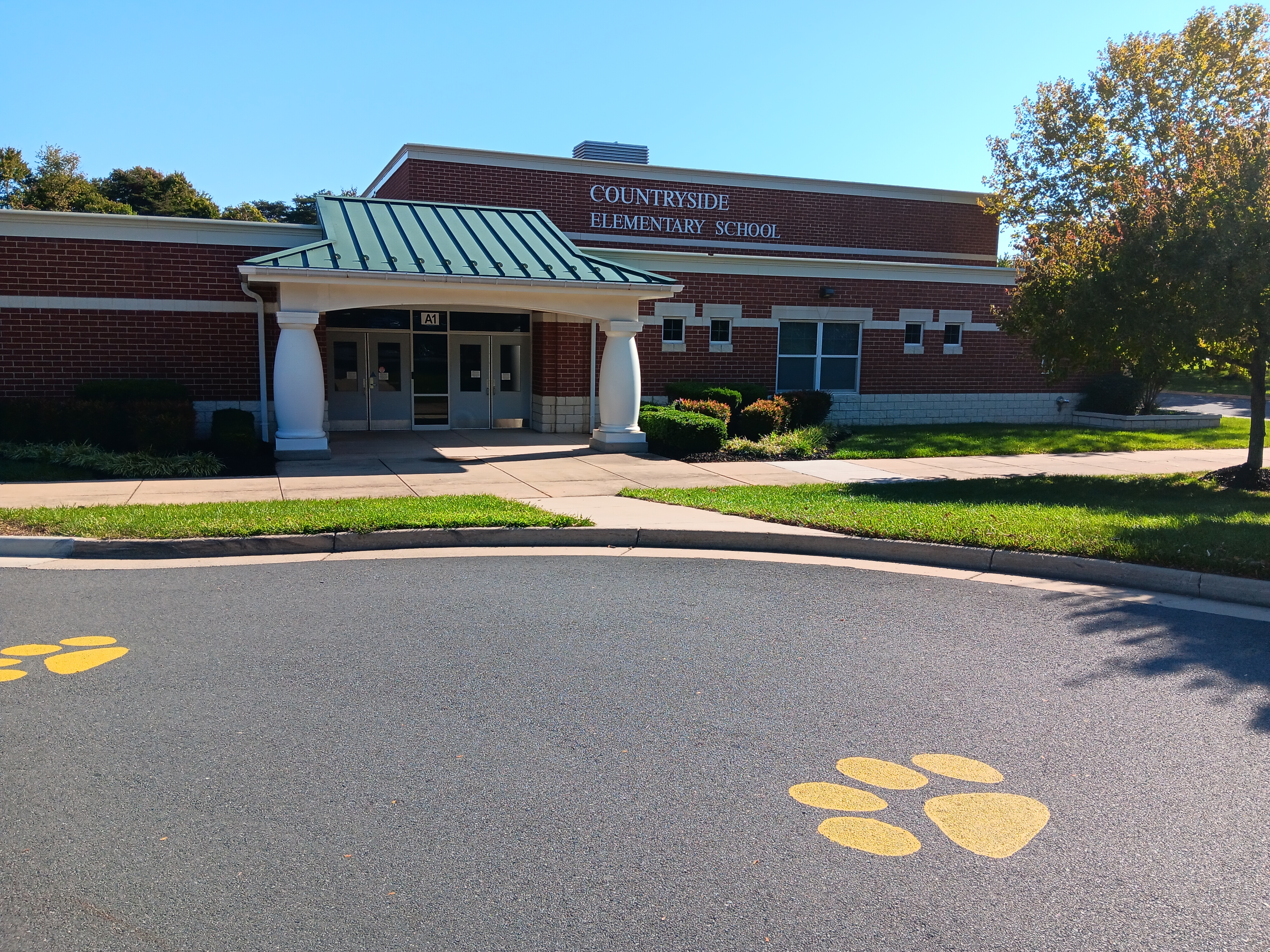 A building with a green roof and a tree in front. Paw prints on the road.