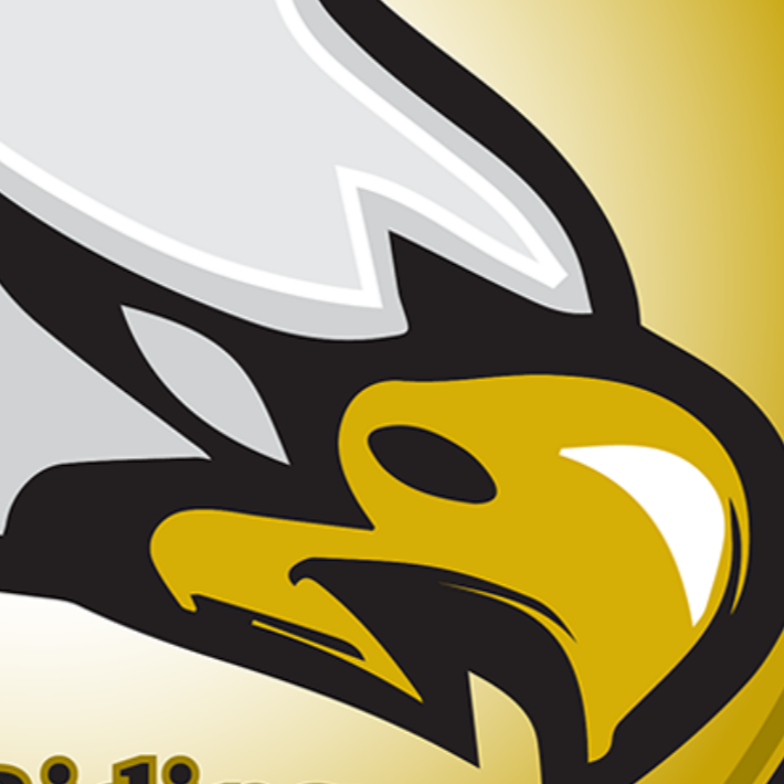 A stylized eagle with a yellow beak, white wings, and black outlines on a yellow circular background.