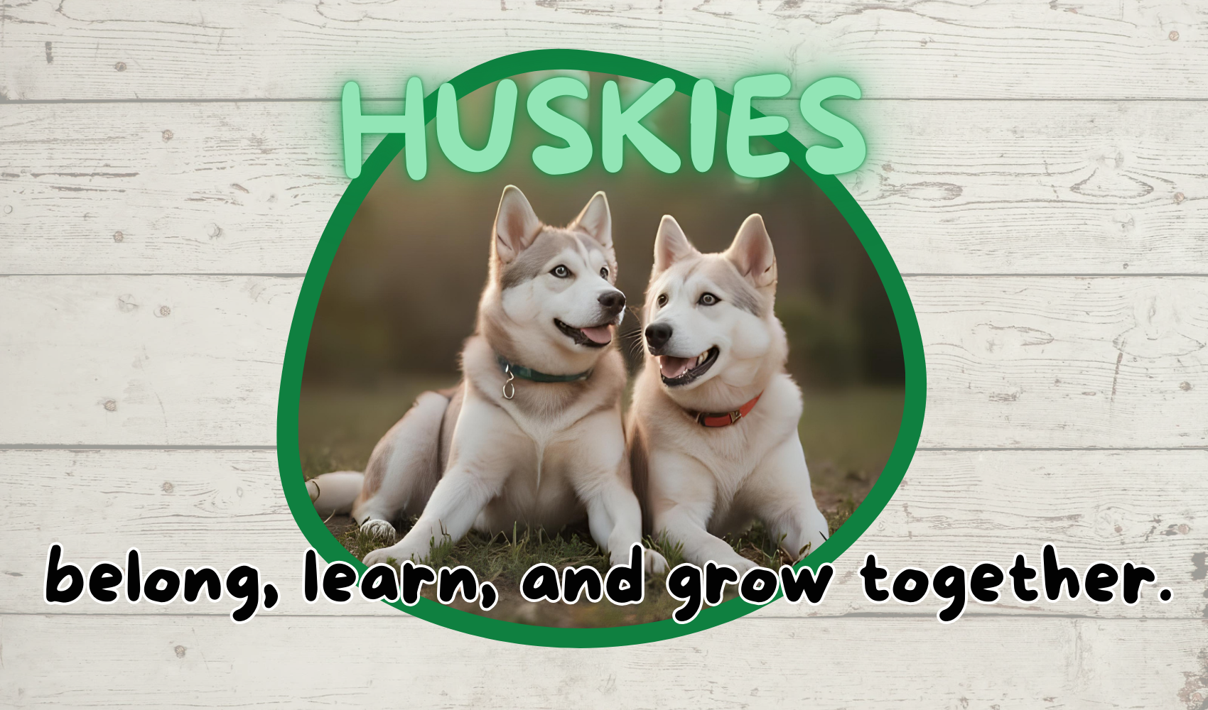 two happy huskies with the text Huskies belong, learn, and grow together