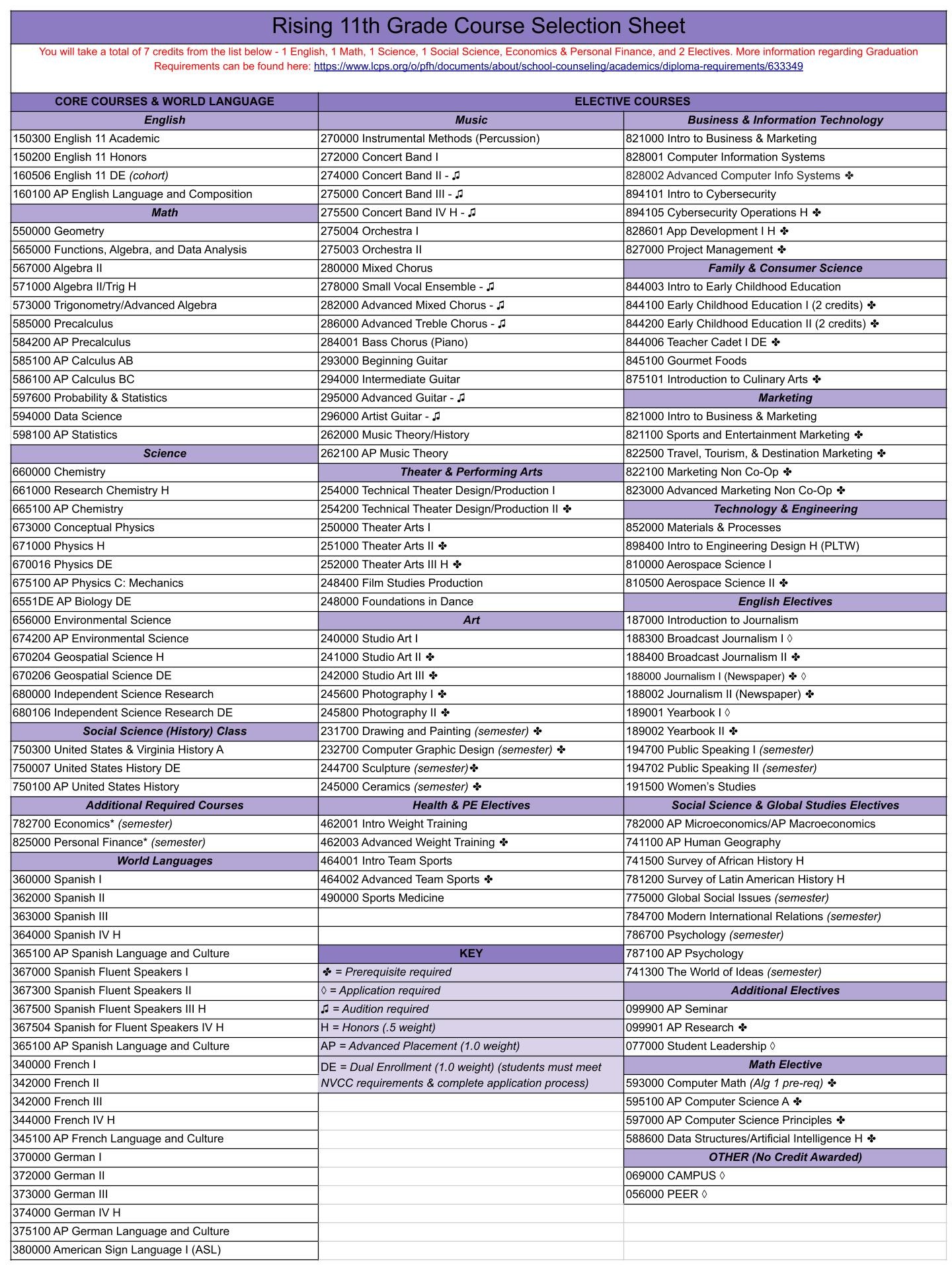 Rising 11th course offerings