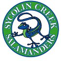 Sycolin Creek Salamanders