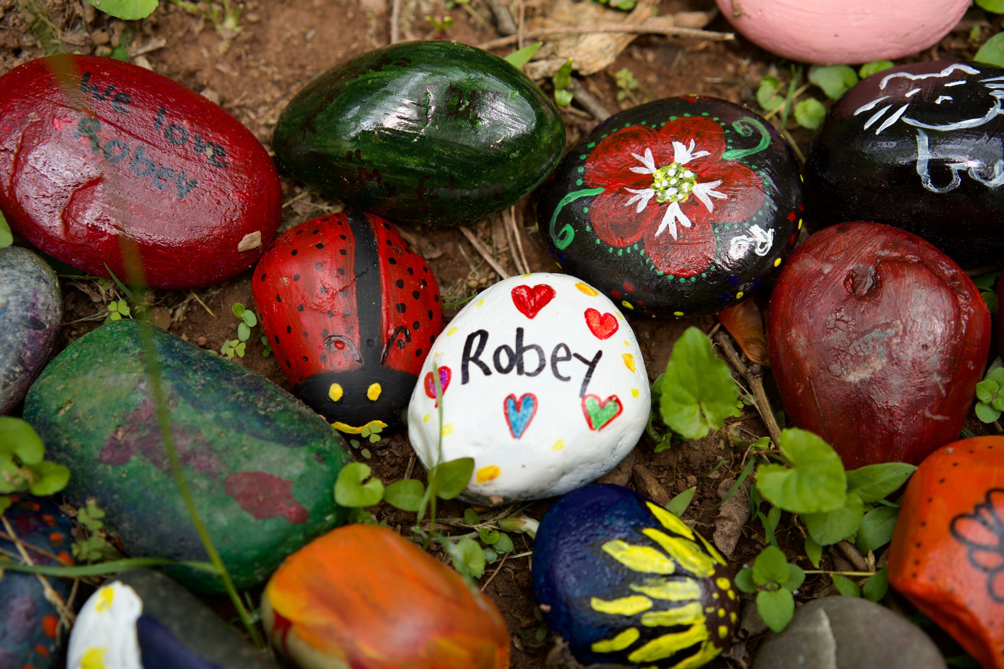 Painted rocks and one rock with "Robey" painted on it