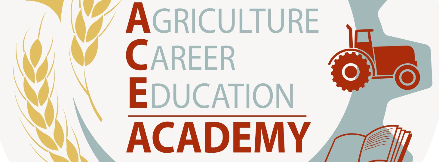 ACE Academy