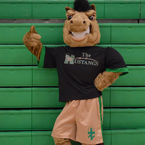 Mustangs Mascot