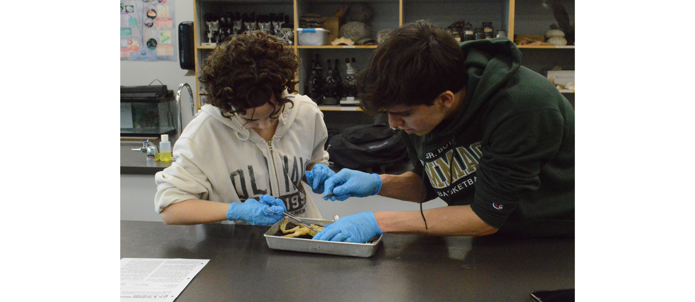 boy and girl dissecting a frog