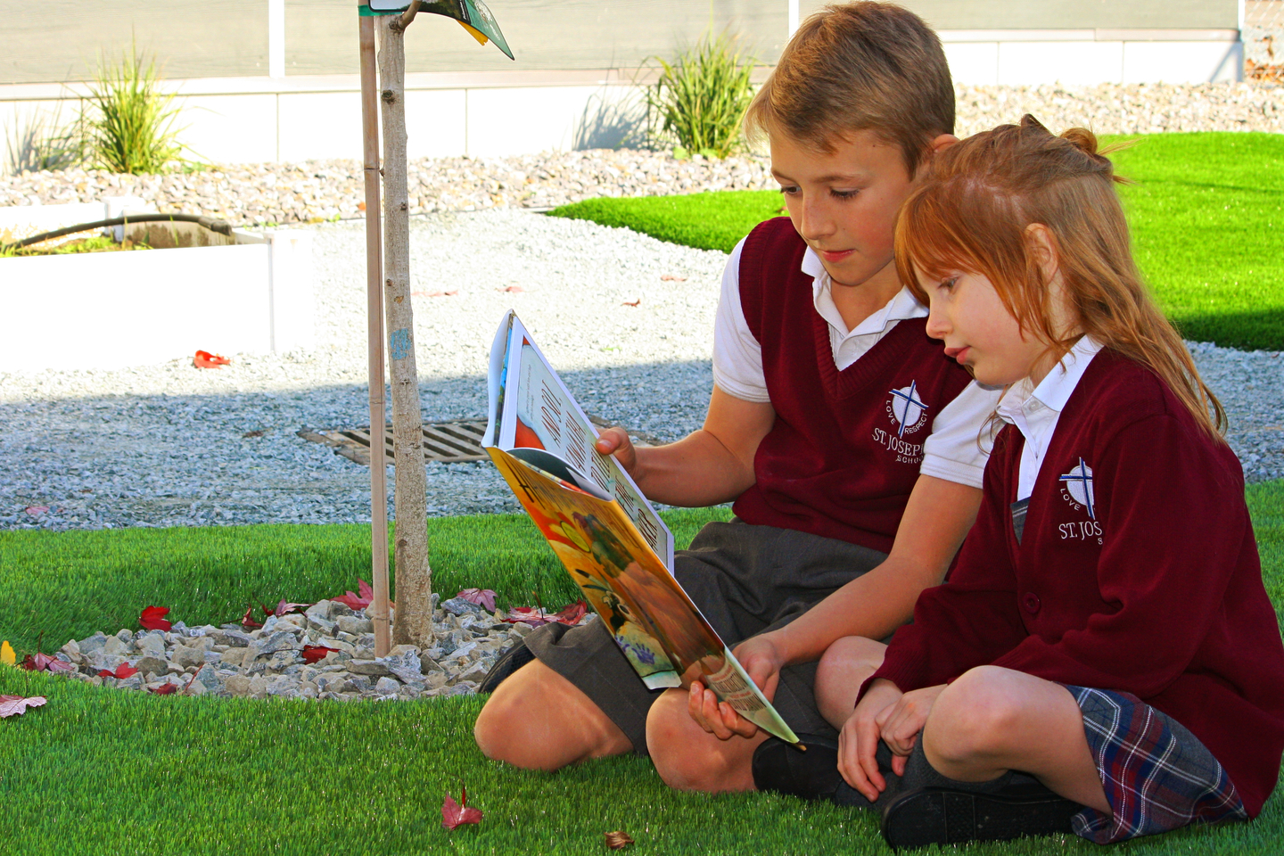 two young students reading a book seating in the grass