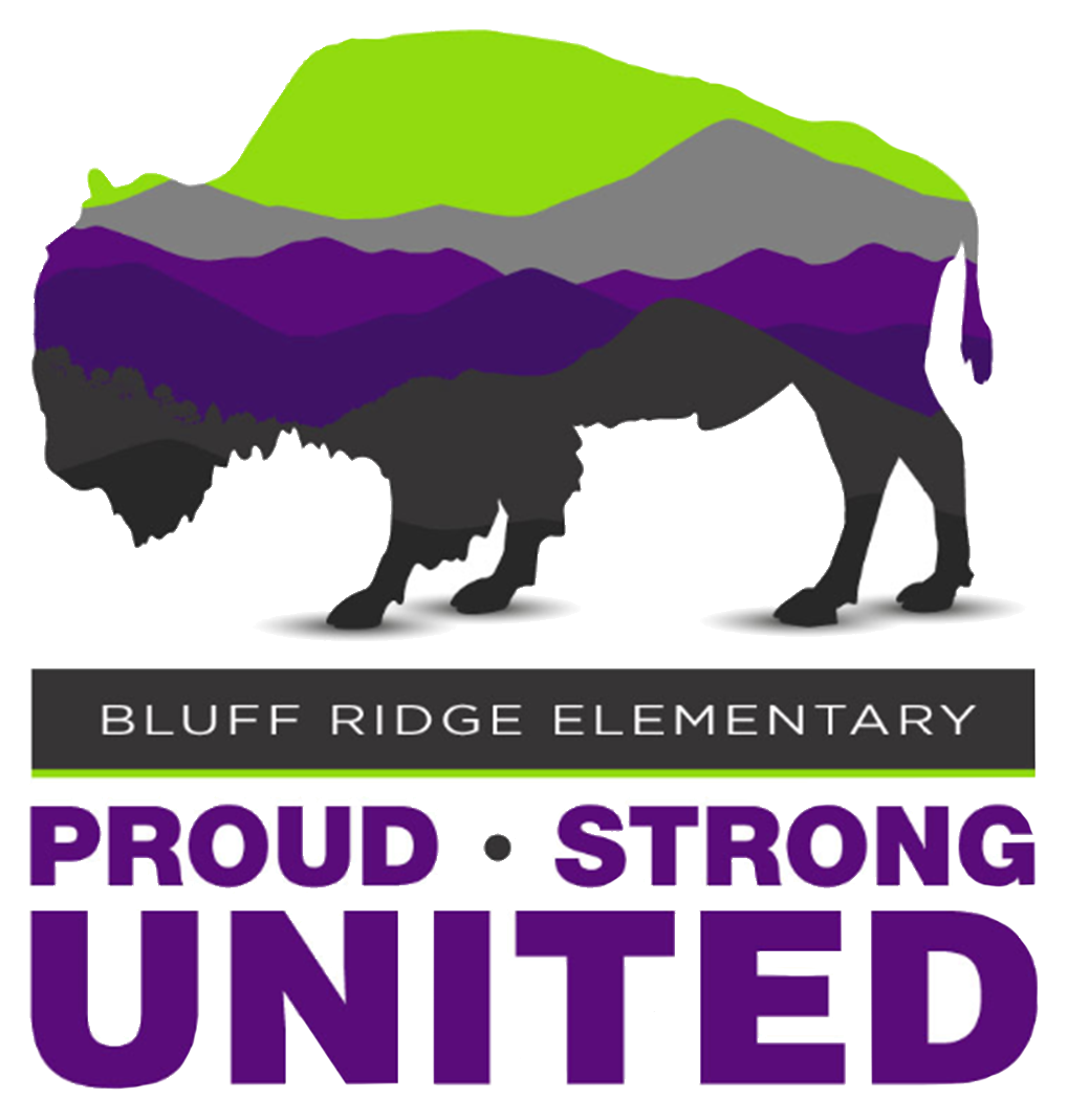 Bluff Ridge PTA Daddy Daughter Dance Bluff Ridge Elementary