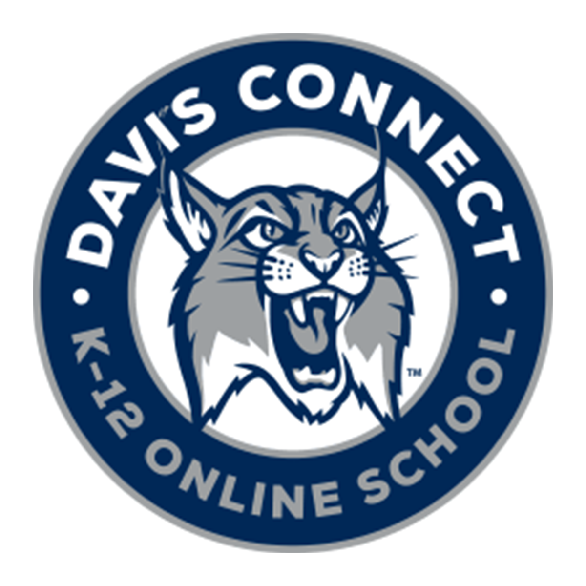 Davis Connect K 6 Online School