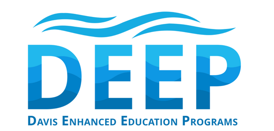 Logo for Davis Enhanced Education Programs (DEEP), featuring three blue waves above the word 'DEEP' in large letters with a water-ripple texture, and the full program name written in blue text below