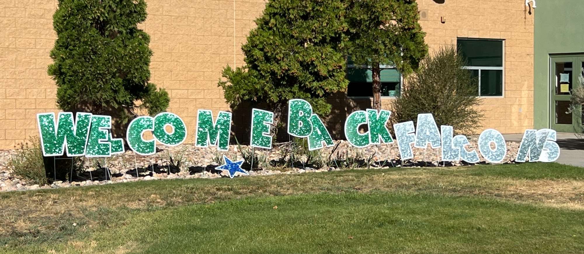 Welcome back falcons!