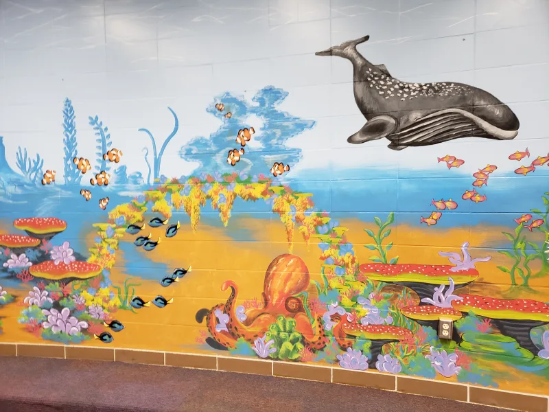 King Elementary Library