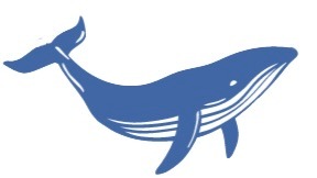WTA Whale Logo