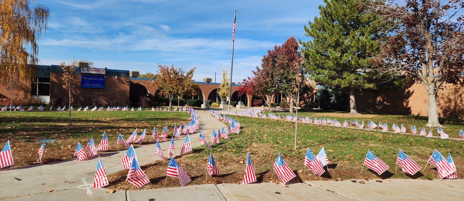 Flags line the pathway to the school