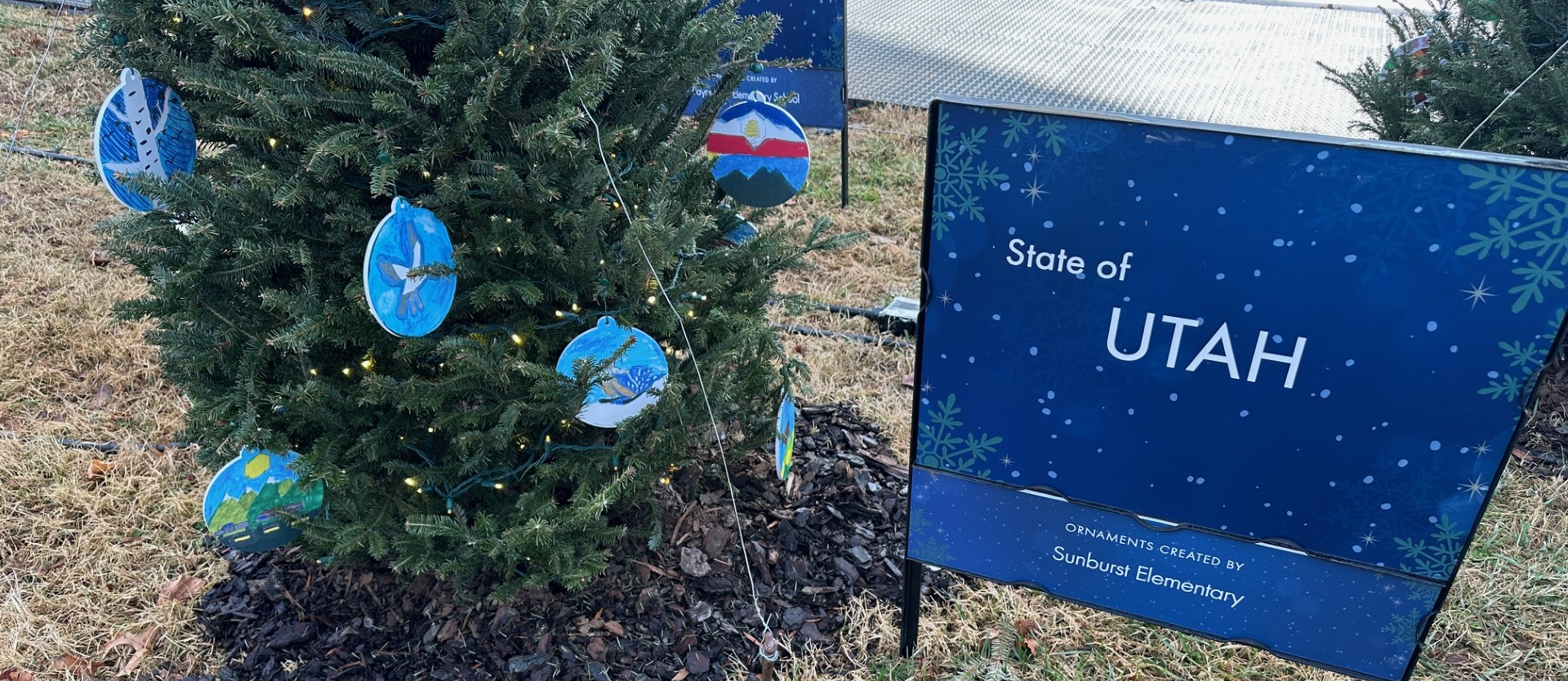Utah Tree decorated by Sunburst Elementary