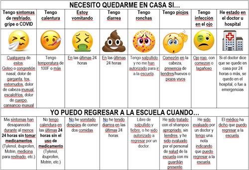 Illness flow chart in Spanish