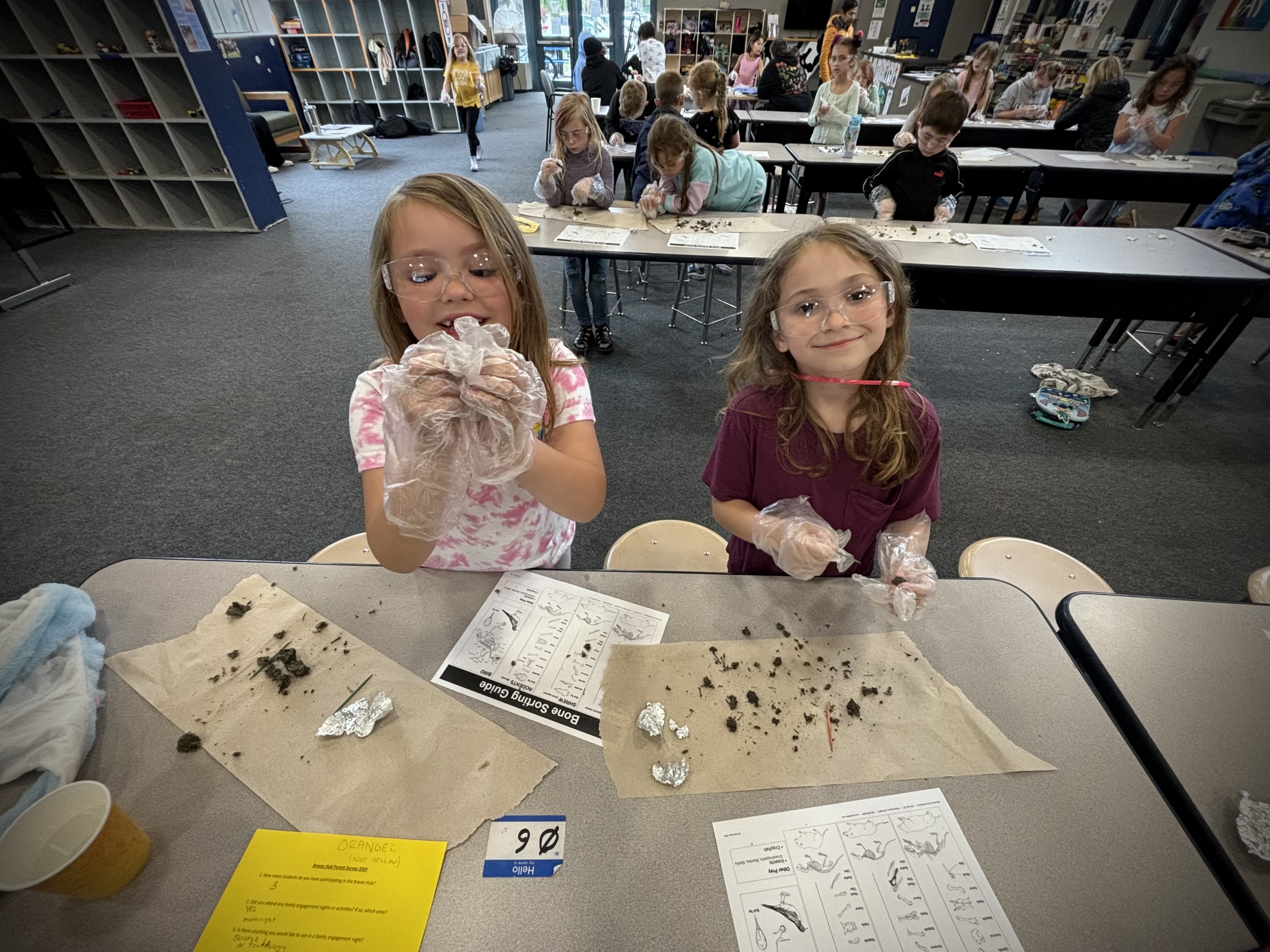 Dissecting Owl Pellets