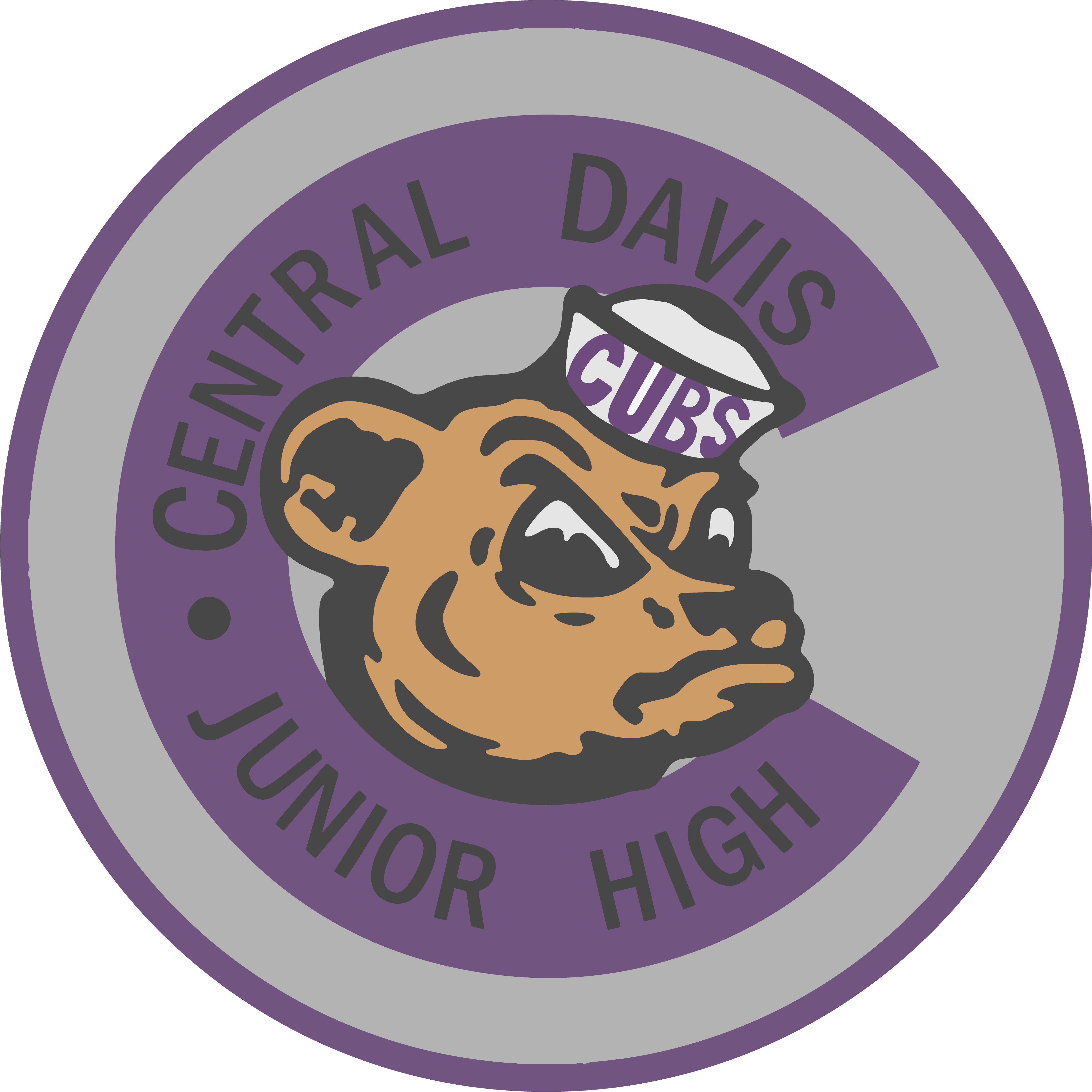 Central Davis Junior High Home
