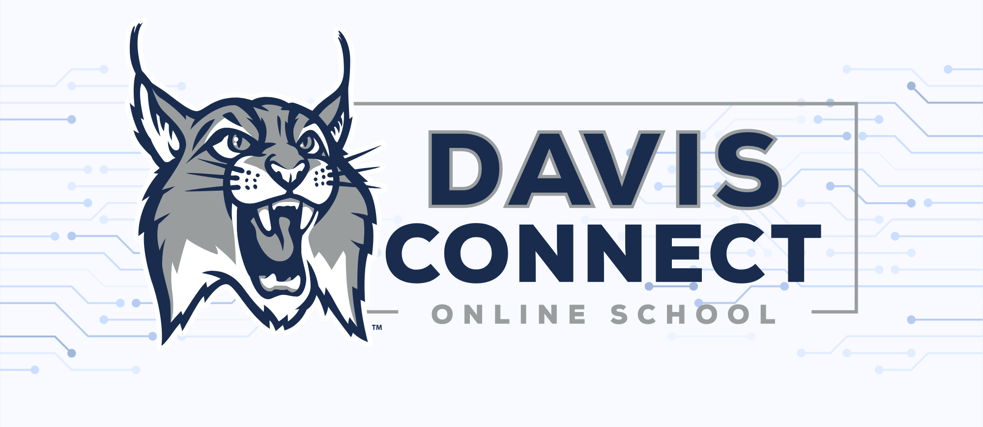 Davis Connect Logo
