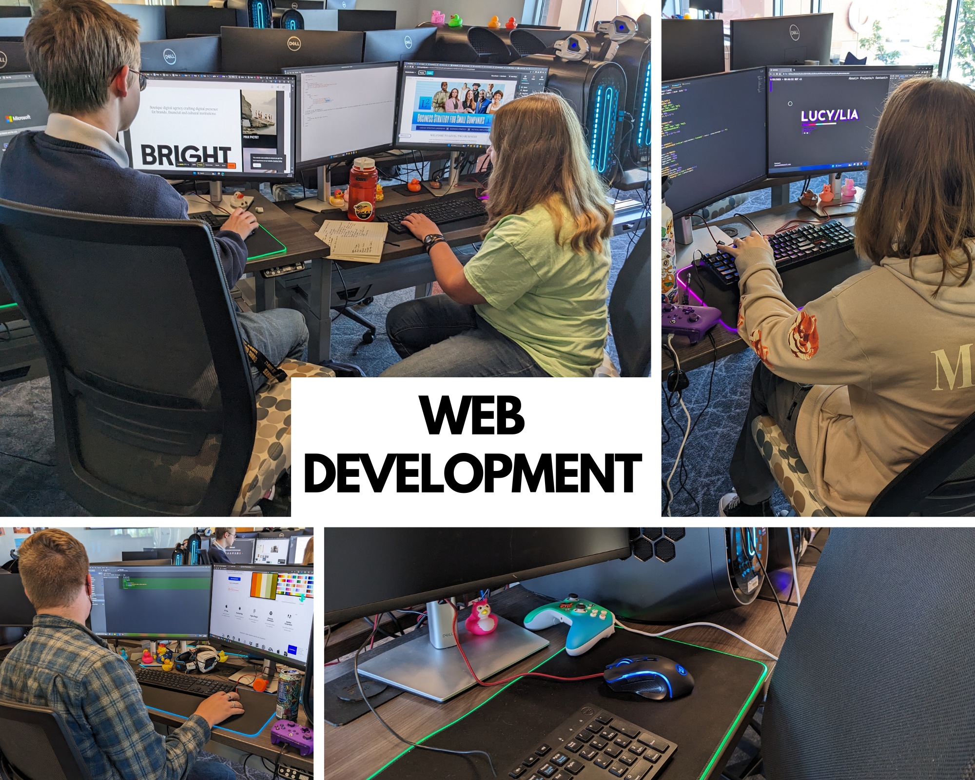 Cybersecurity colllage for web students making web pages
