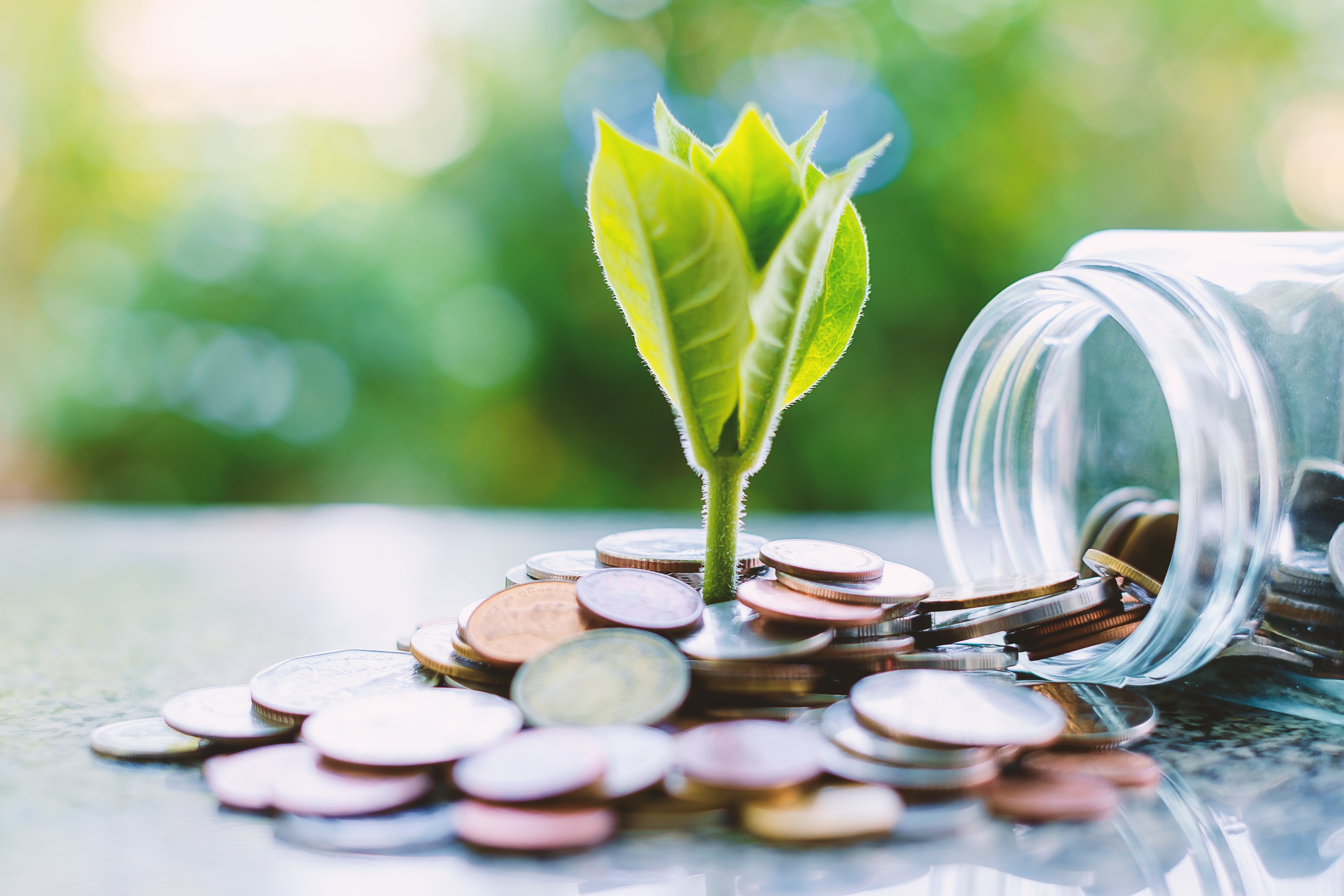 plant growing out of coins