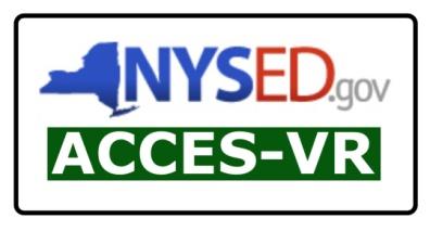 A close-up photo of a NYSEED Access-VR logo, featuring vibrant colors and intricate design.