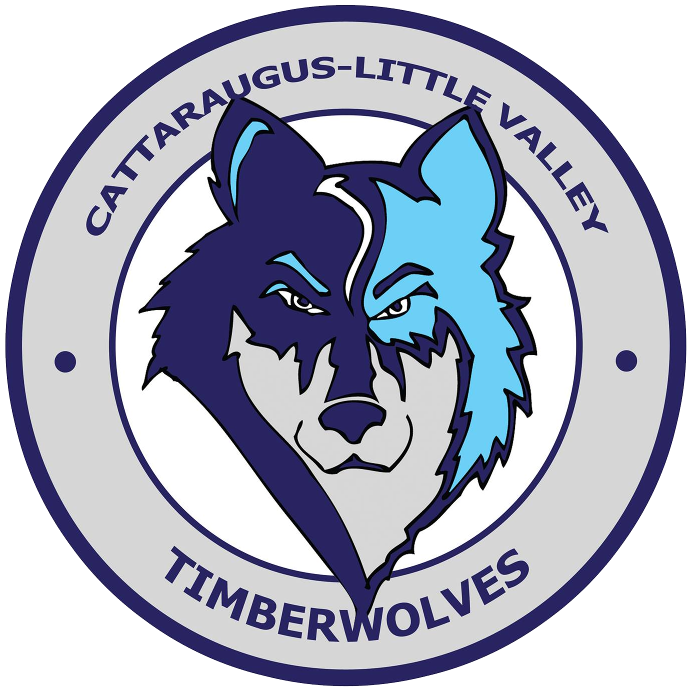 Live Feed Cattaraugus Little Valley CSD