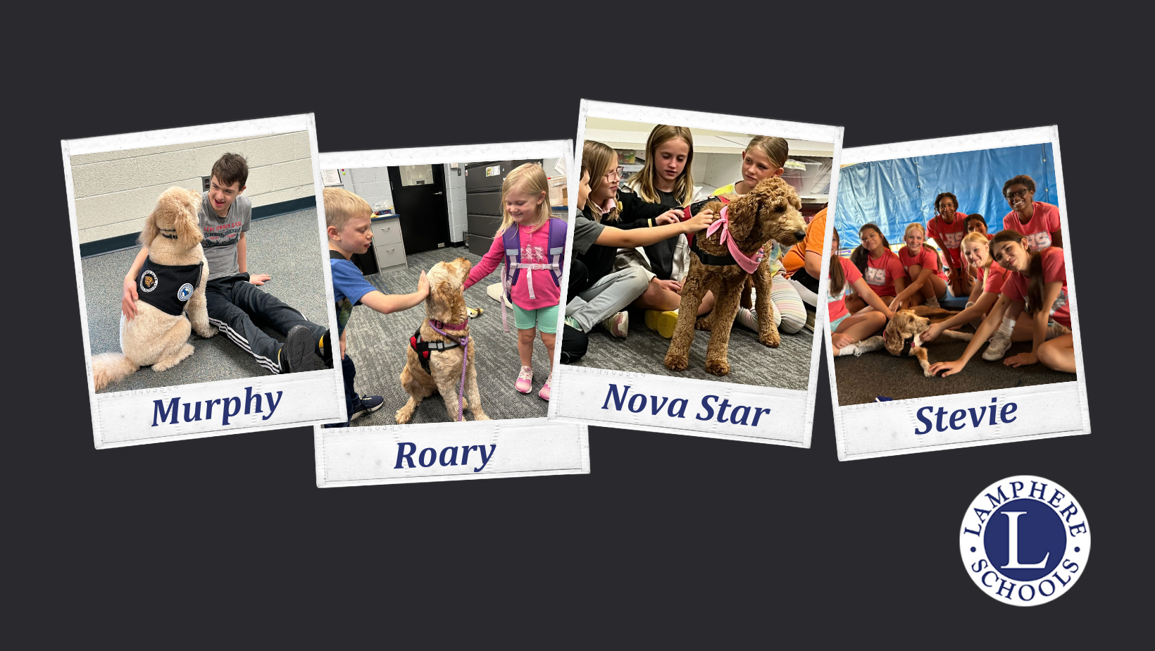 Lamphere's Therapy Dogs: Stevie, Murphy, Nova & Roary