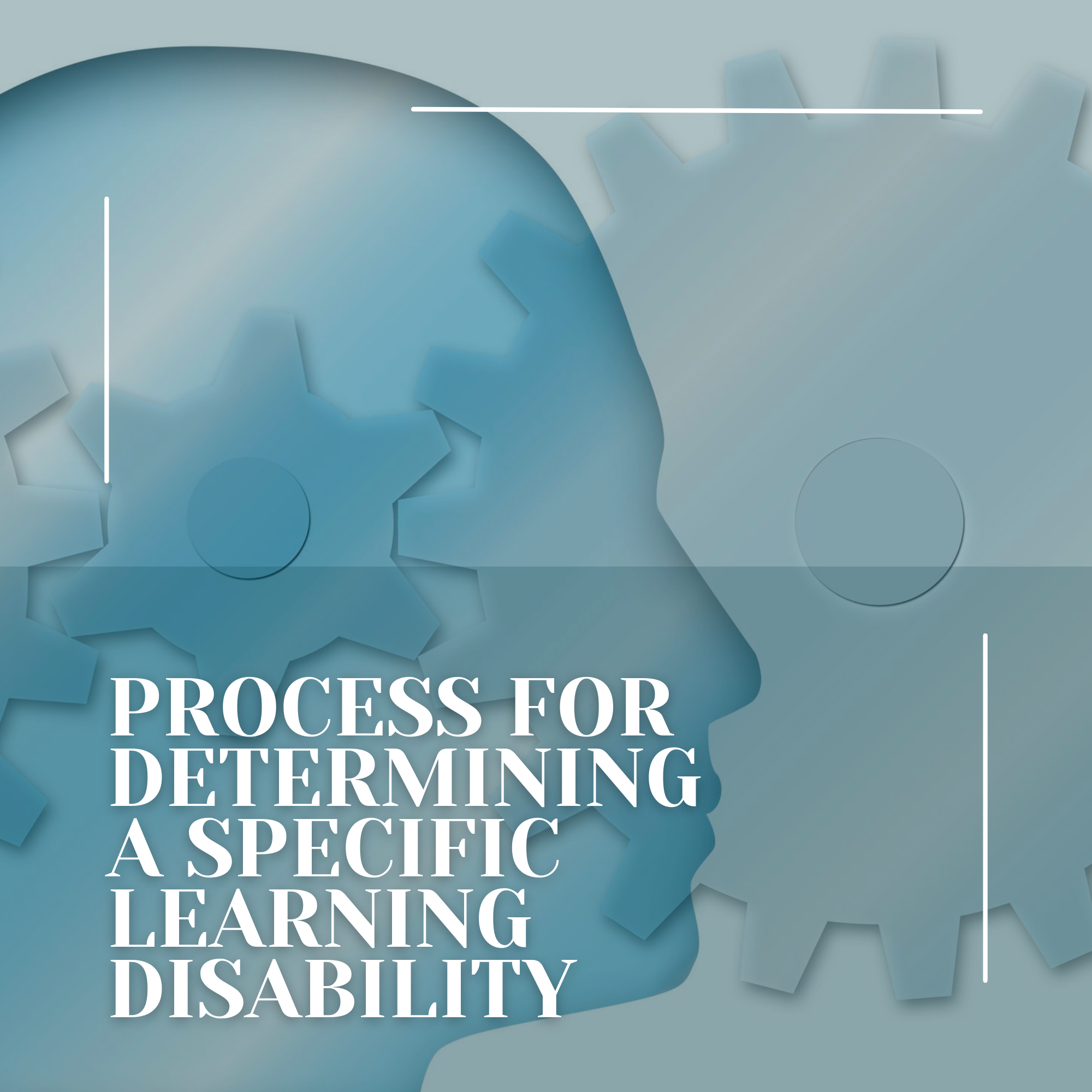 Process for Determining a Specific Learning Disability