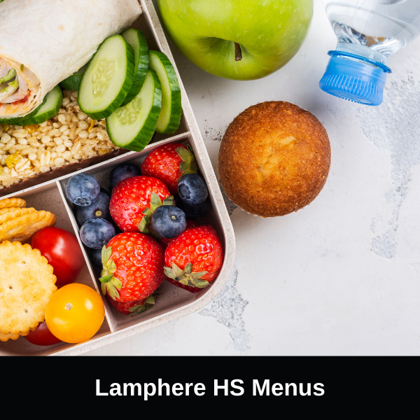 LHS Lunch Menus