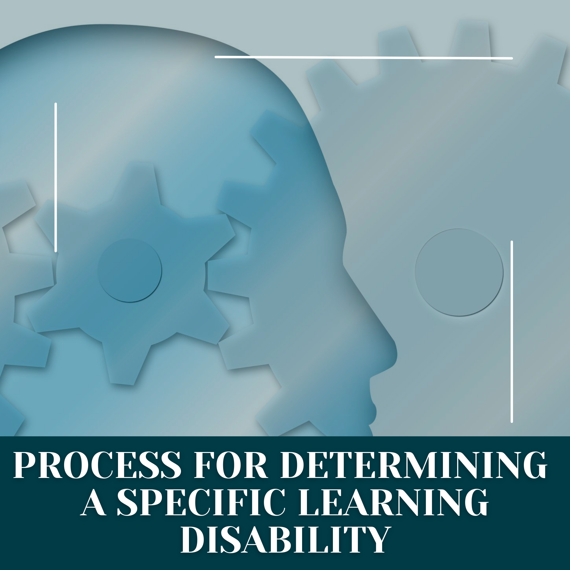 Process for Determining a Specific Learning Disability