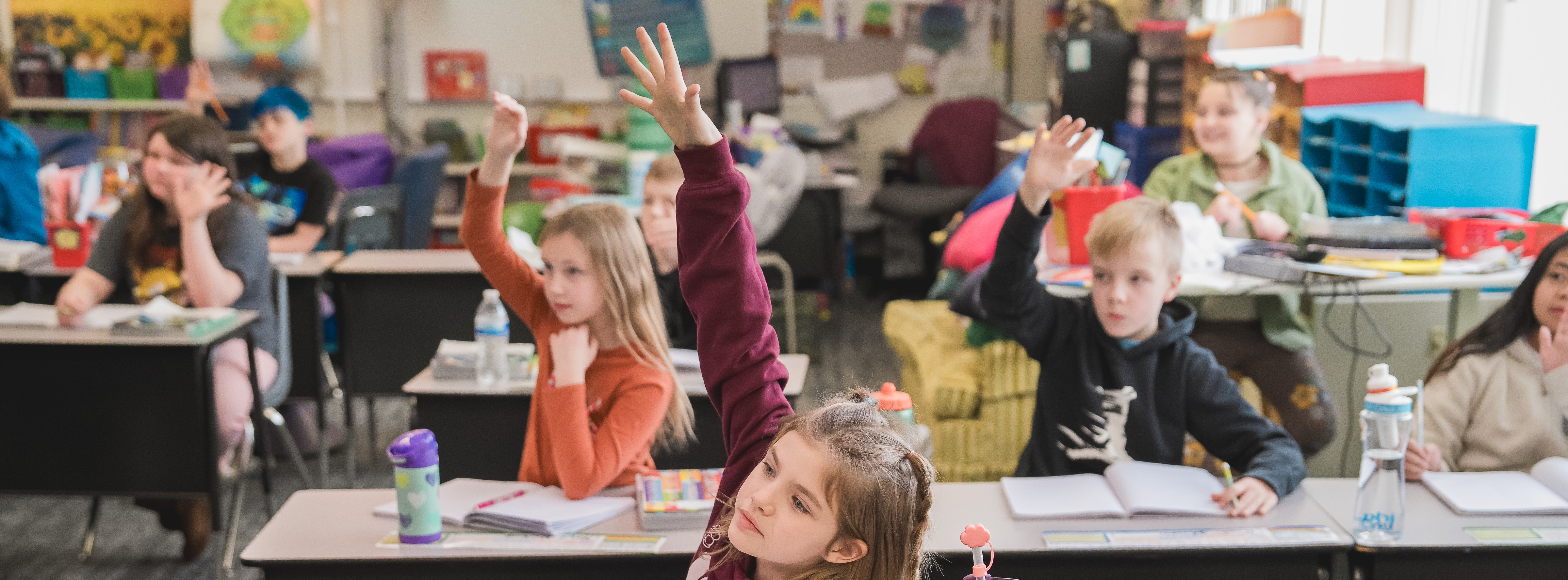 Students raising their hands in class