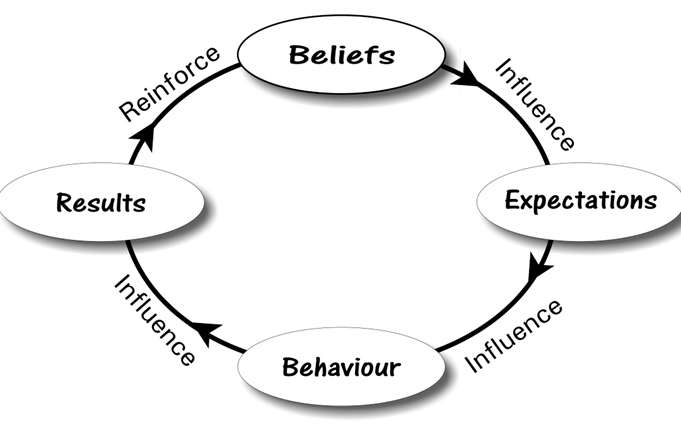 PBIS Cycle